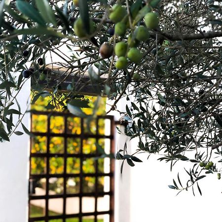 فندق Mas Le Sauvageon سانت ماري دو لا مير المظهر الخارجي الصورة